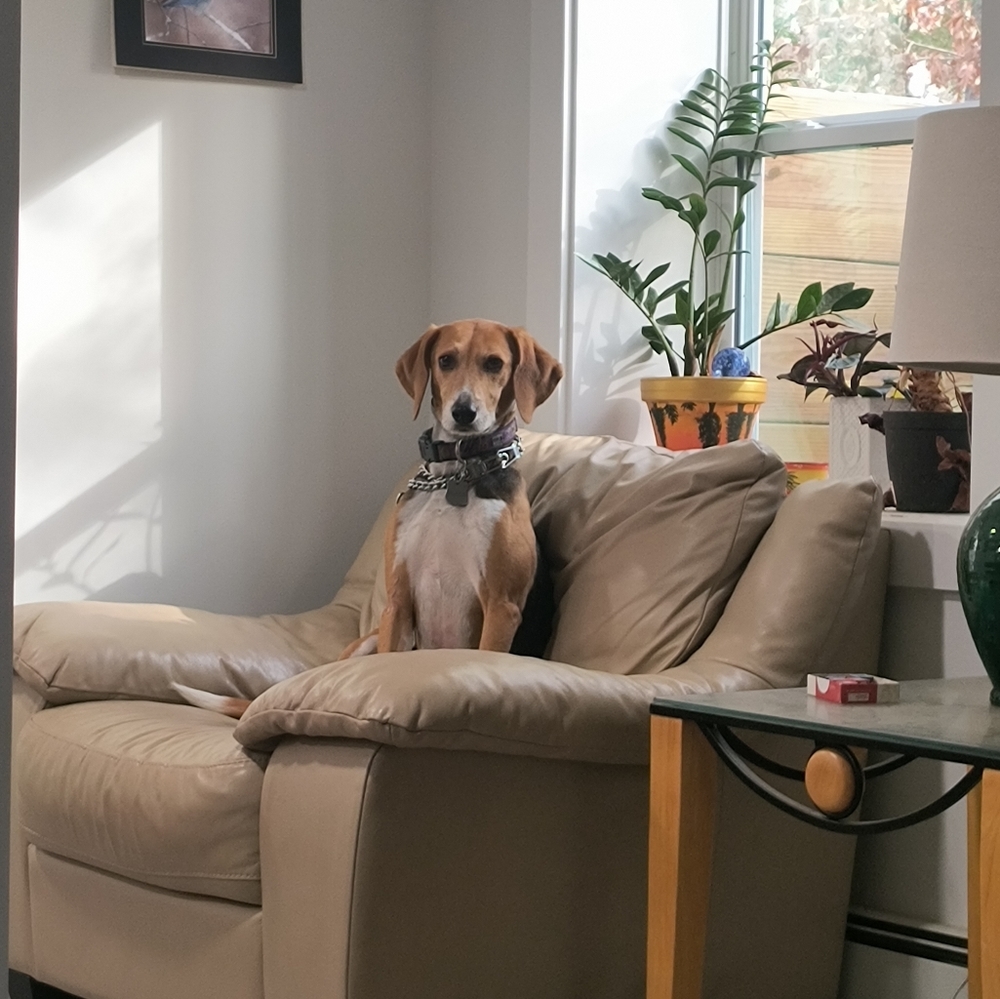 Meet your Posher, Tal